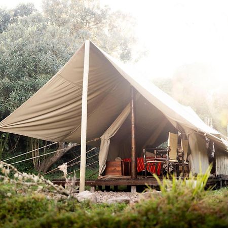 Quatermain'S 1920'S Safari Camp - Amakhala viltreservat Exteriör bild