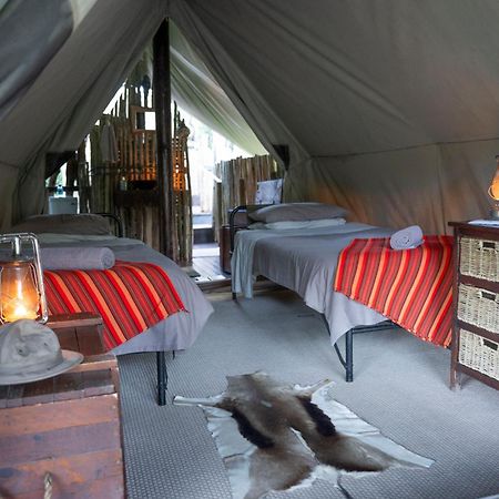 Quatermain'S 1920'S Safari Camp - Amakhala viltreservat Exteriör bild