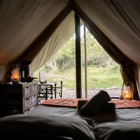 Quatermain'S 1920'S Safari Camp - Amakhala viltreservat Exteriör bild