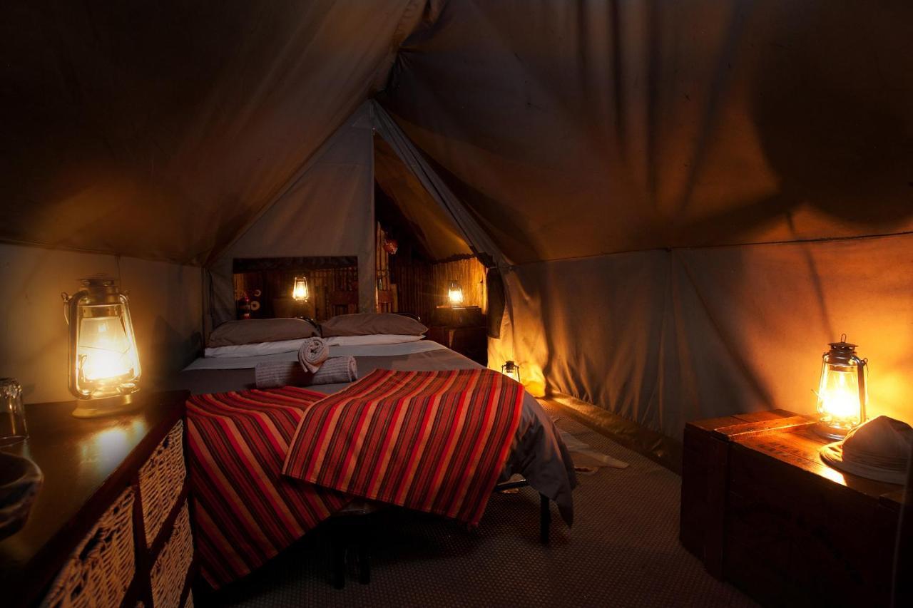 Quatermain'S 1920'S Safari Camp - Amakhala viltreservat Exteriör bild