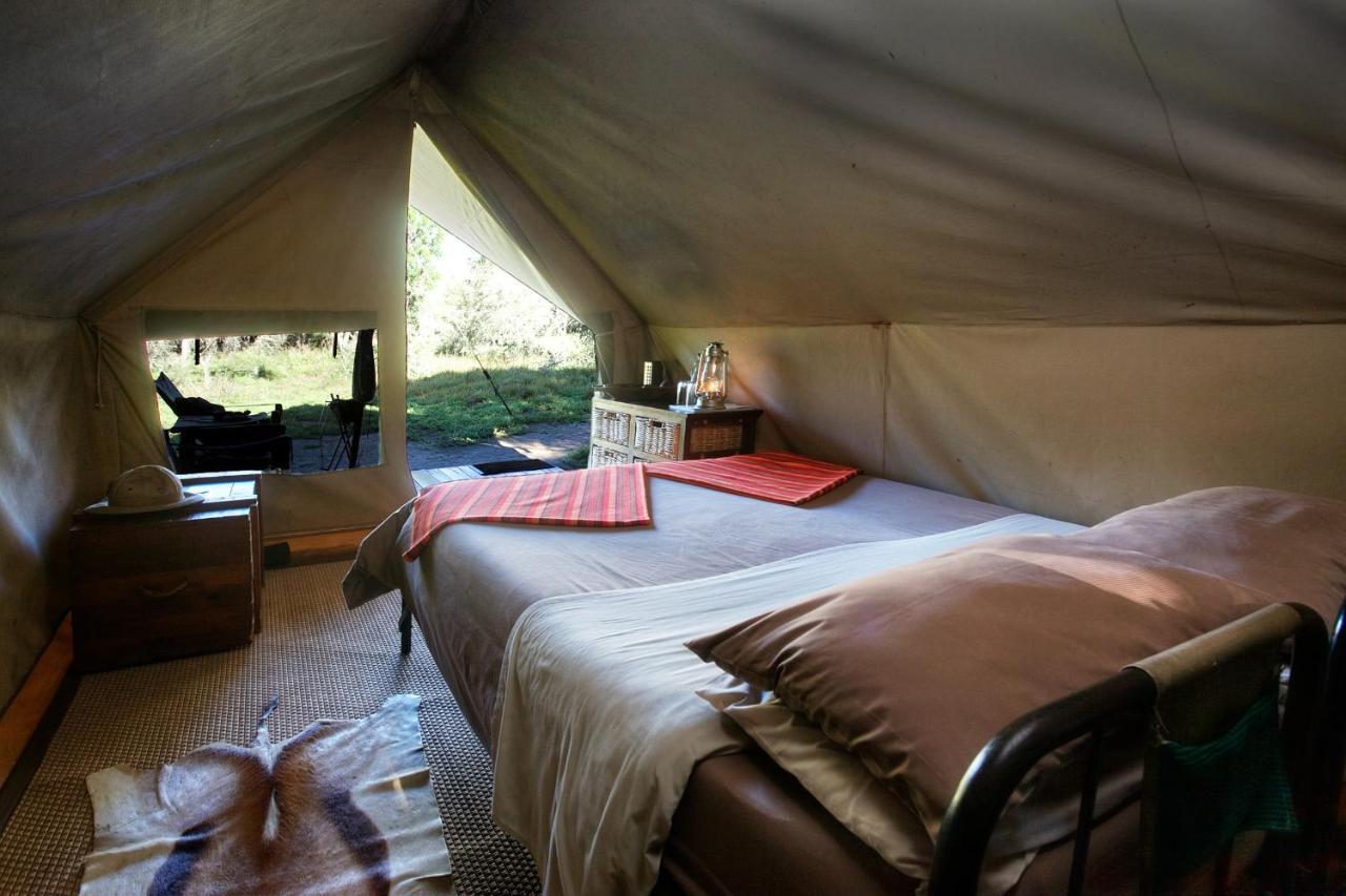 Quatermain'S 1920'S Safari Camp - Amakhala viltreservat Exteriör bild