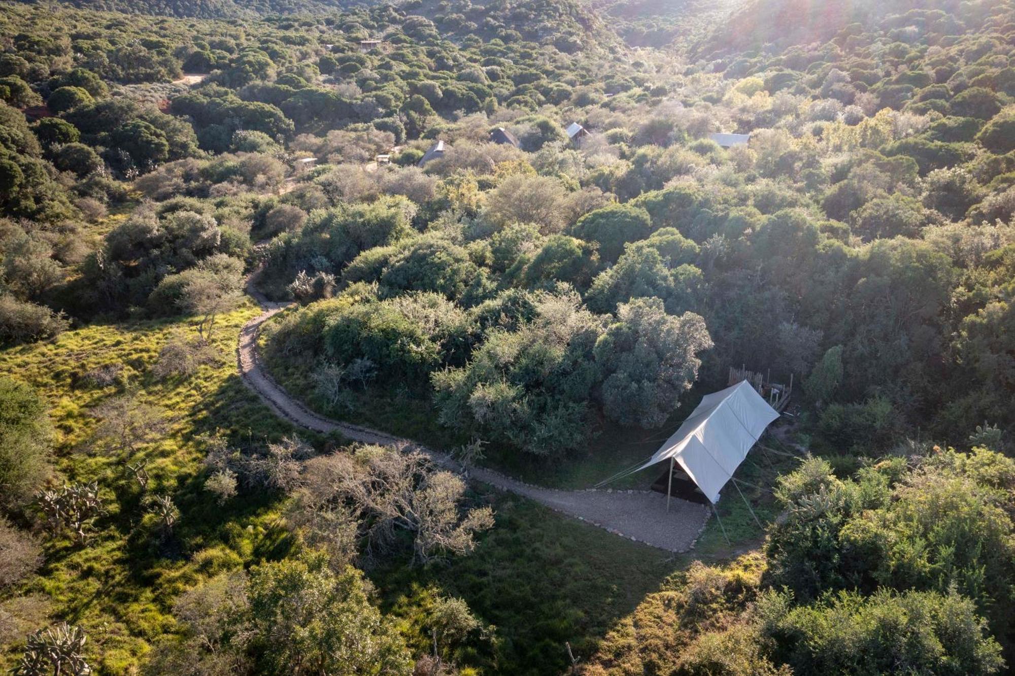 Quatermain'S 1920'S Safari Camp - Amakhala viltreservat Exteriör bild