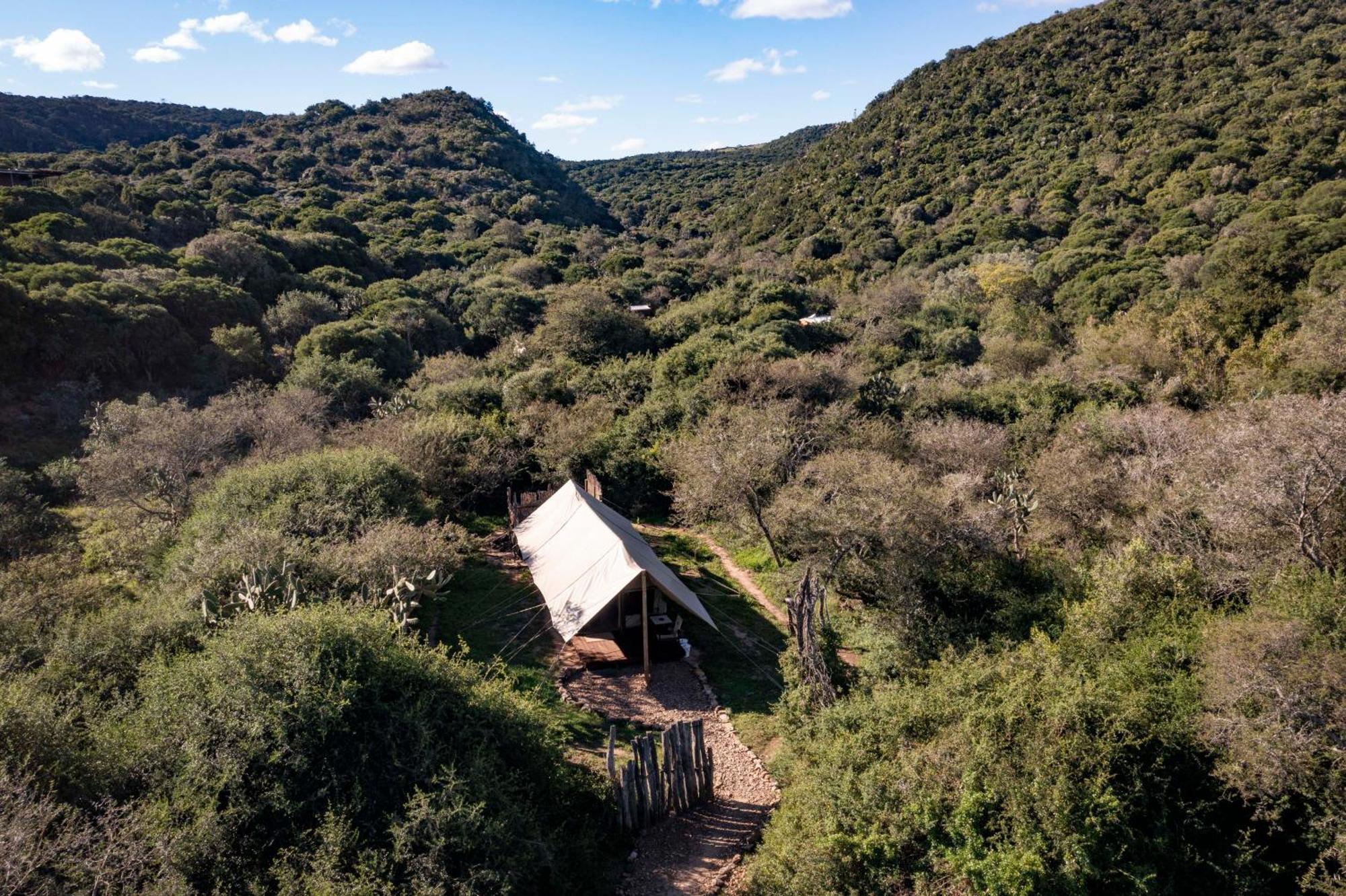 Quatermain'S 1920'S Safari Camp - Amakhala viltreservat Exteriör bild